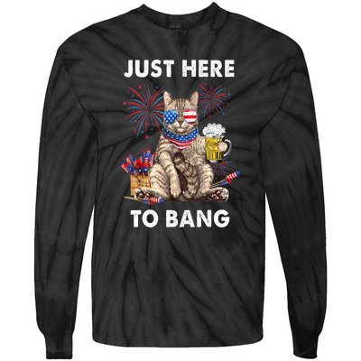 Funny Beer 4th Of July Cat Lover Just Here To Bang Usa Flag Gift Tie-Dye Long Sleeve Shirt