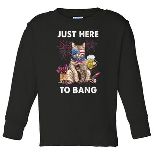 Funny Beer 4th Of July Cat Lover Just Here To Bang Usa Flag Gift Toddler Long Sleeve Shirt