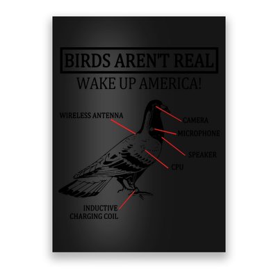 Funny Birds Aren't Real Wake Up America! They're Government Drones 1 Poster