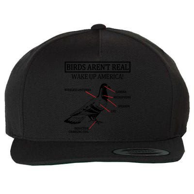 Funny Birds Aren't Real Wake Up America! They're Government Drones 1 Wool Snapback Cap