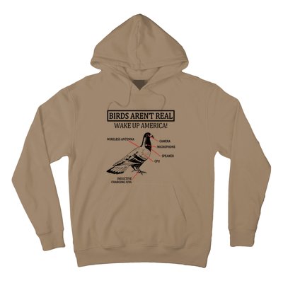 Funny Birds Aren't Real Wake Up America! They're Government Drones 1 Hoodie