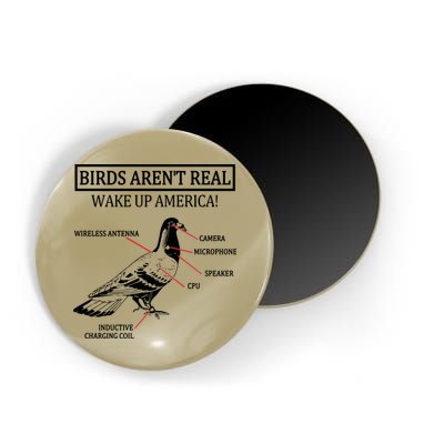 Funny Birds Aren't Real Wake Up America! They're Government Drones 1 Magnet
