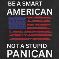 Funny Be A Smart American Not A Stupid Panican 7 Panel Mesh Trucker Snapback Hat