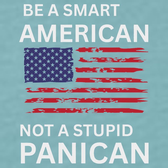 Funny Be A Smart American Not A Stupid Panican Sueded Cloud Jersey T-Shirt