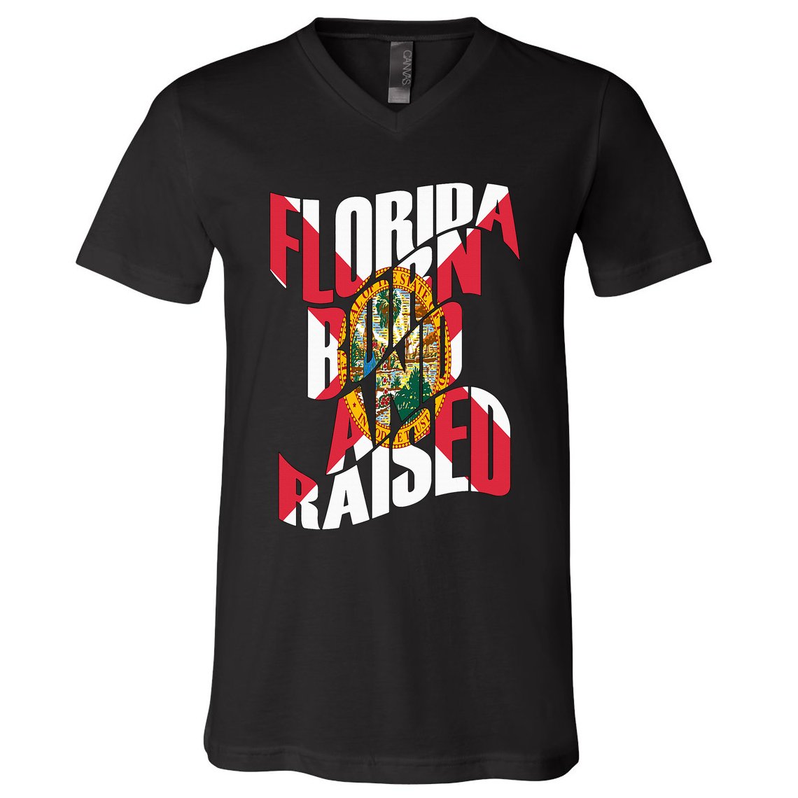 Florida Born And Raised Florida Flag V-Neck T-Shirt