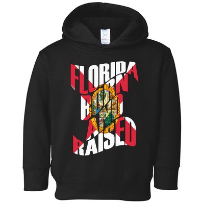Florida Born And Raised Florida Flag Toddler Hoodie