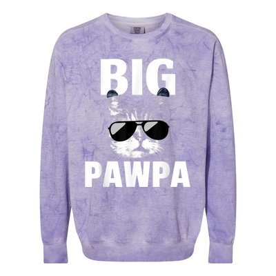 Funny Black And White Cat Kitten Big Pawpa Colorblast Crewneck Sweatshirt