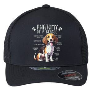 Funny Beagle Anatomy Of A Beagle Dog Owner Cute Pet Lover Flexfit Unipanel Trucker Cap