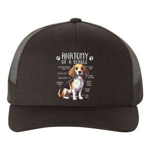 Funny Beagle Anatomy Of A Beagle Dog Owner Cute Pet Lover Yupoong Adult 5-Panel Trucker Hat