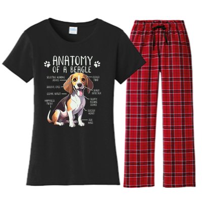 Funny Beagle Anatomy Of A Beagle Dog Owner Cute Pet Lover Women's Flannel Pajama Set