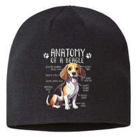 Funny Beagle Anatomy Of A Beagle Dog Owner Cute Pet Lover Sustainable Beanie