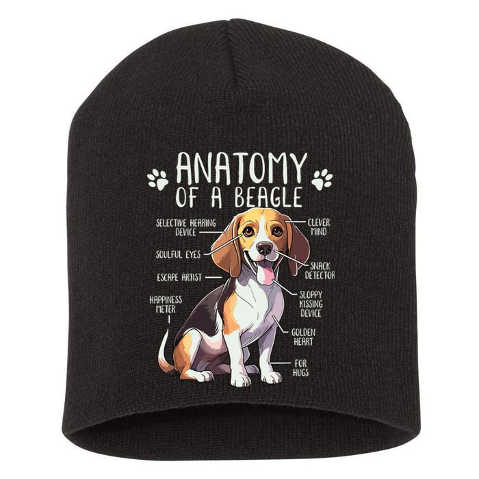 Funny Beagle Anatomy Of A Beagle Dog Owner Cute Pet Lover Short Acrylic Beanie