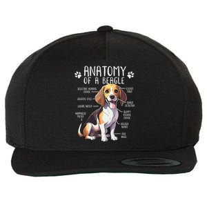 Funny Beagle Anatomy Of A Beagle Dog Owner Cute Pet Lover Wool Snapback Cap