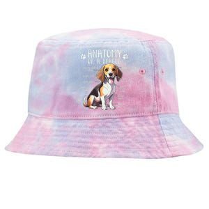 Funny Beagle Anatomy Of A Beagle Dog Owner Cute Pet Lover Tie-Dyed Bucket Hat