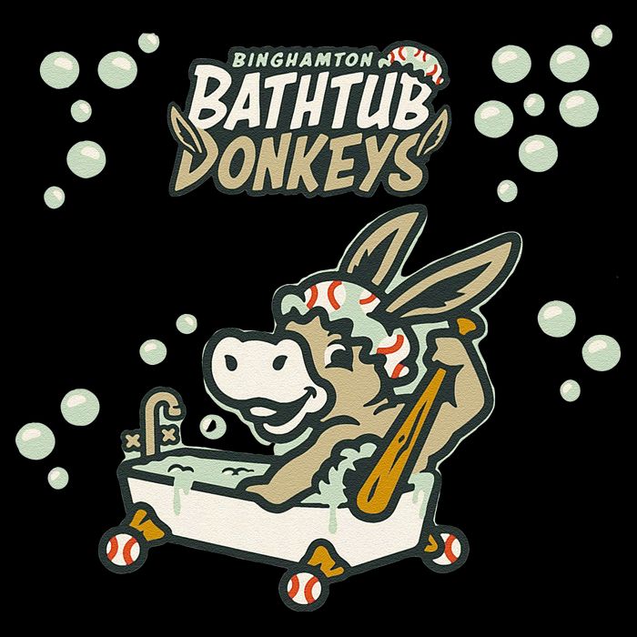 Funny Binghamton Bathtub Donkey Gift 16 in Basic Backpack