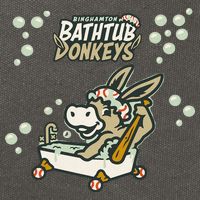 Funny Binghamton Bathtub Donkey Gift Cotton Canvas Backpack