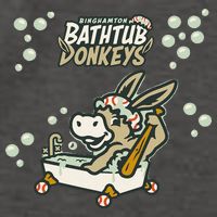 Funny Binghamton Bathtub Donkey Gift Vector Backpack