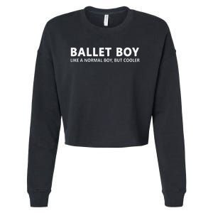 Funny Ballet Boy Music Ballet Boy Cropped Pullover Crew