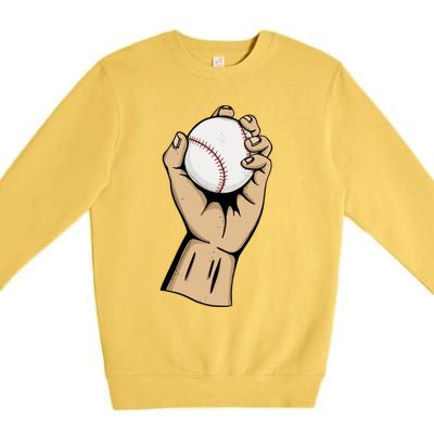 Funny Baseball Ball Team Player Cool Gift Pitch Homerun Baseballer Gift Premium Crewneck Sweatshirt