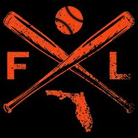 Florida Baseball Bats & Ball Classic Baseball Player Vintage T-Shirt