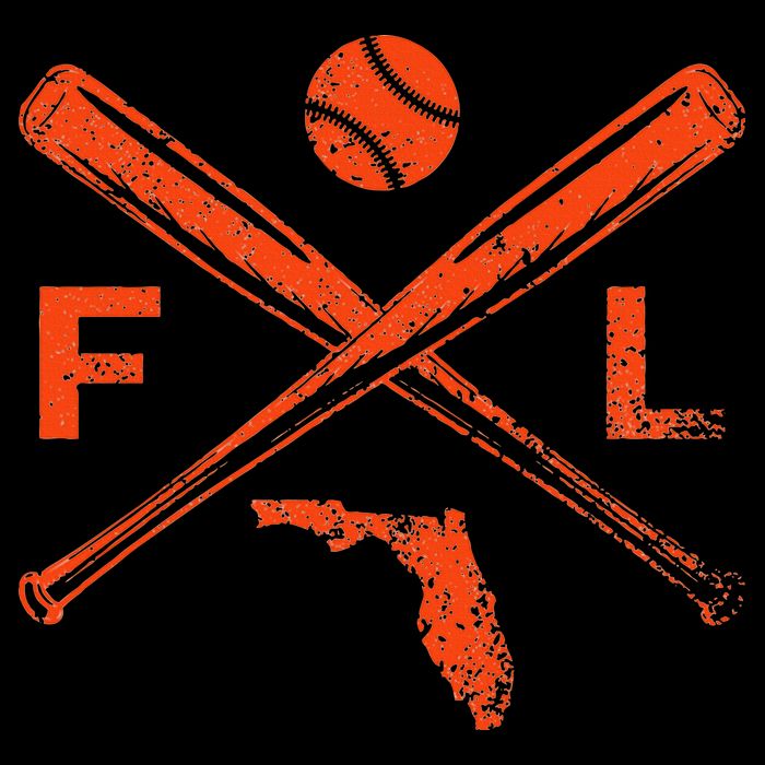Florida Baseball Bats & Ball Classic Baseball Player Vintage T-Shirt