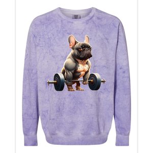 French Bulldog Bodybuilding Gym Frenchie Weightlifter Colorblast Crewneck Sweatshirt