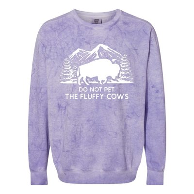 Funny Buffalo Bison Do Not Pet The Fluffy Cow Colorblast Crewneck Sweatshirt