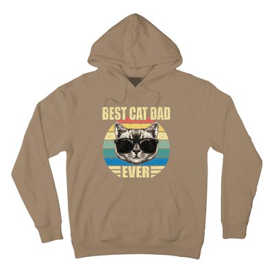 Funny Best Cat Dad Ever Funny Fathers Day Cat Dad Gift Hoodie