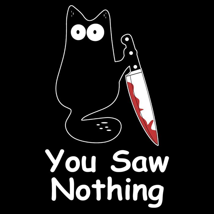 Funny Black Cat Meme You Saw Nothing Bucket Hat