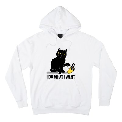 Funny Black Cat I Do What I Want Cat Lover Gifts Hoodie