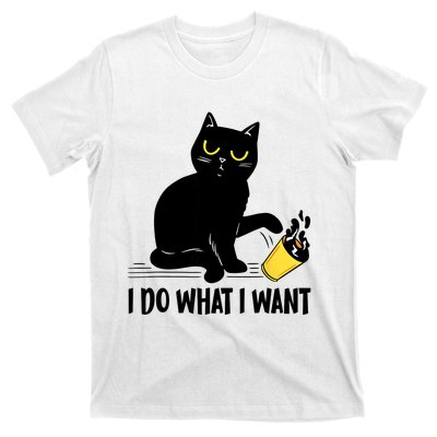 Funny Black Cat I Do What I Want Cat Lover Gifts T-Shirt