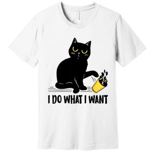 Funny Black Cat I Do What I Want Cat Lover Gifts Premium T-Shirt