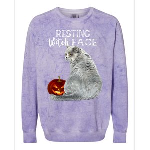 Funny Black Cat Resting Witch Face Halloween Costume Cool Gift Colorblast Crewneck Sweatshirt