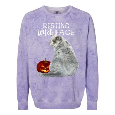 Funny Black Cat Resting Witch Face Halloween Costume Cool Gift Colorblast Crewneck Sweatshirt