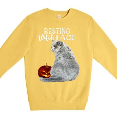 Funny Black Cat Resting Witch Face Halloween Costume Cool Gift Premium Crewneck Sweatshirt