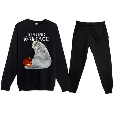 Funny Black Cat Resting Witch Face Halloween Costume Cool Gift Premium Crewneck Sweatsuit Set