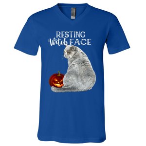 Funny Black Cat Resting Witch Face Halloween Costume Cool Gift V-Neck T-Shirt