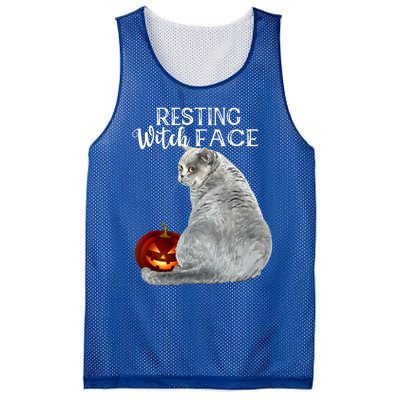 Funny Black Cat Resting Witch Face Halloween Costume Cool Gift Mesh Reversible Basketball Jersey Tank