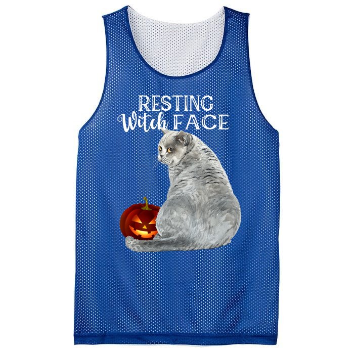 Funny Black Cat Resting Witch Face Halloween Costume Cool Gift Mesh Reversible Basketball Jersey Tank