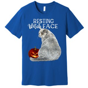 Funny Black Cat Resting Witch Face Halloween Costume Cool Gift Premium T-Shirt