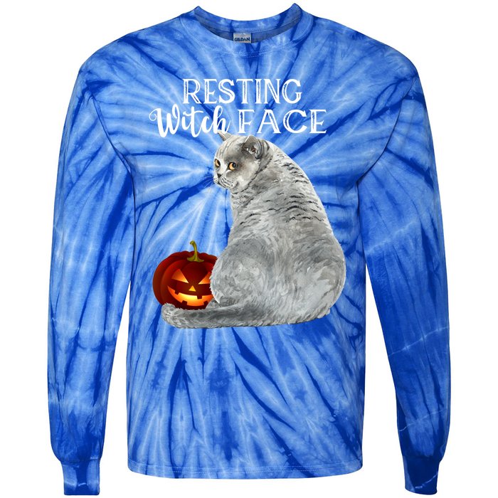 Funny Black Cat Resting Witch Face Halloween Costume Cool Gift Tie-Dye Long Sleeve Shirt