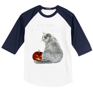 Funny Black Cat Resting Witch Face Halloween Costume Cool Gift Baseball Sleeve Shirt