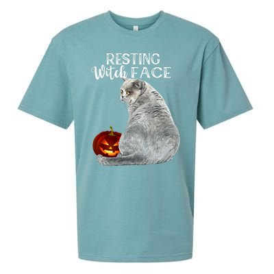 Funny Black Cat Resting Witch Face Halloween Costume Cool Gift Sueded Cloud Jersey T-Shirt