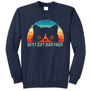 Funny Best Cat Dad Fathers Day Gift From Wife Son Daughter Sweatshirt