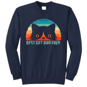 Funny Best Cat Dad Fathers Day Gift From Wife Son Daughter Tall Sweatshirt