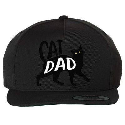 Funny Best Cat Dad Fathers Day Kitty Lover Daddy Papa Christmas Wool Snapback Cap