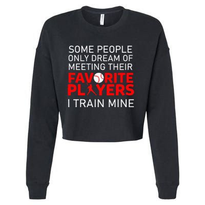 Funny Baseball Coach Trainer Bat And Ball Sports Lover Quote Cropped Pullover Crew