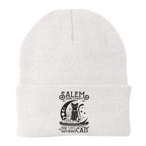 Funny Black Cat Salem Home For Wayward Cats Halloween Witch Long Sleeve Knit Cap Winter Beanie