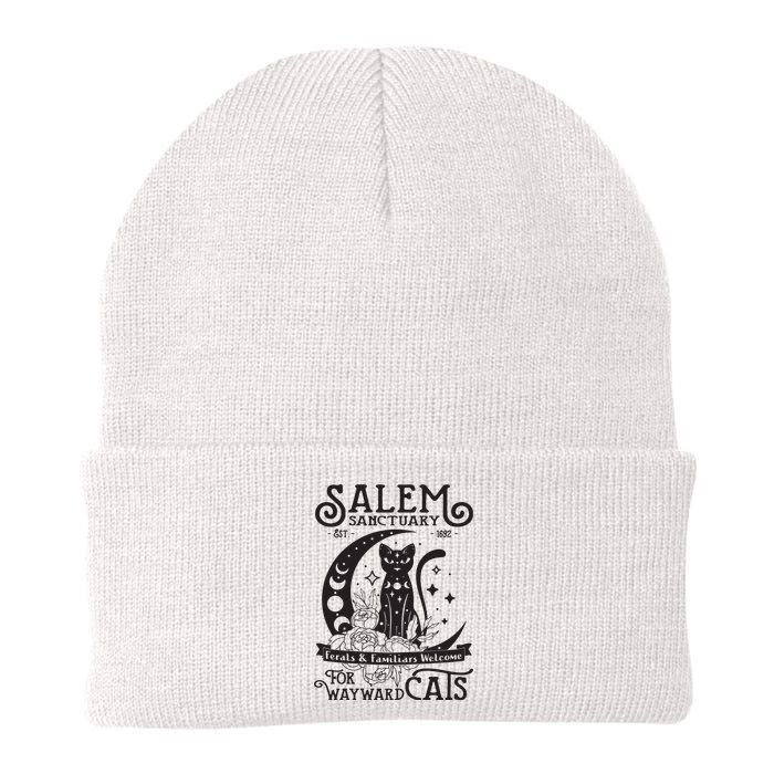 Funny Black Cat Salem Home For Wayward Cats Halloween Witch Long Sleeve Knit Cap Winter Beanie