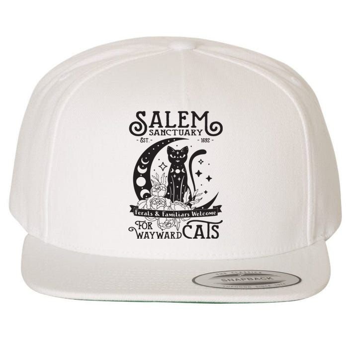 Funny Black Cat Salem Home For Wayward Cats Halloween Witch Long Sleeve Wool Snapback Cap